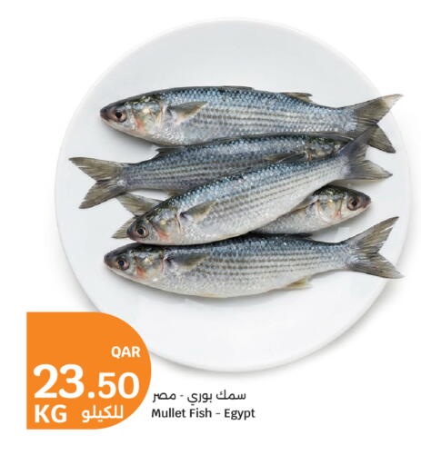 available at City Hypermarket in Qatar - Al Shamal