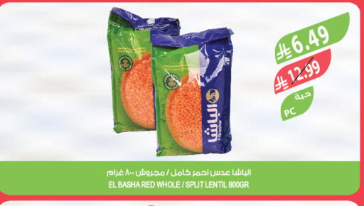 available at Farm  in KSA, Saudi Arabia, Saudi - Dammam