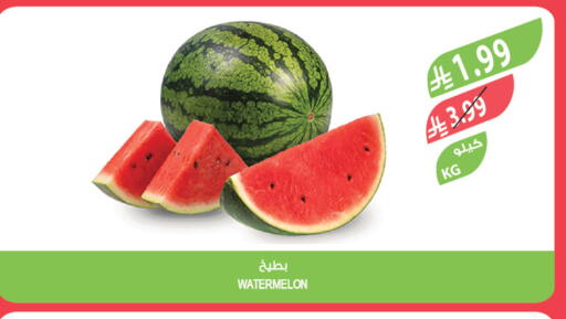 Watermelon available at Farm  in KSA, Saudi Arabia, Saudi - Dammam