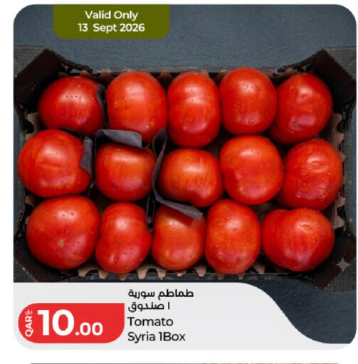 Tomato from Syria available at LuLu Hypermarket in Qatar - Al Daayen