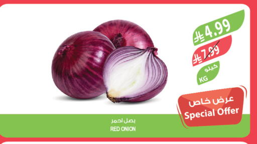 Onion available at Farm  in KSA, Saudi Arabia, Saudi - Dammam