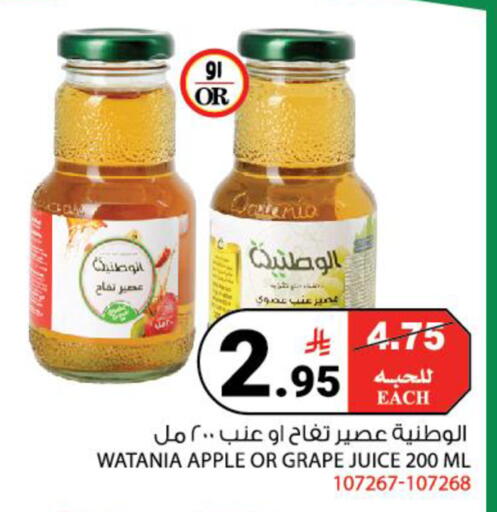 Apple available at House Care in KSA, Saudi Arabia, Saudi - Mecca
