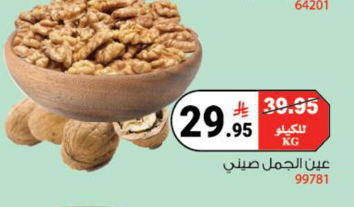 available at House Care in KSA, Saudi Arabia, Saudi - Mecca