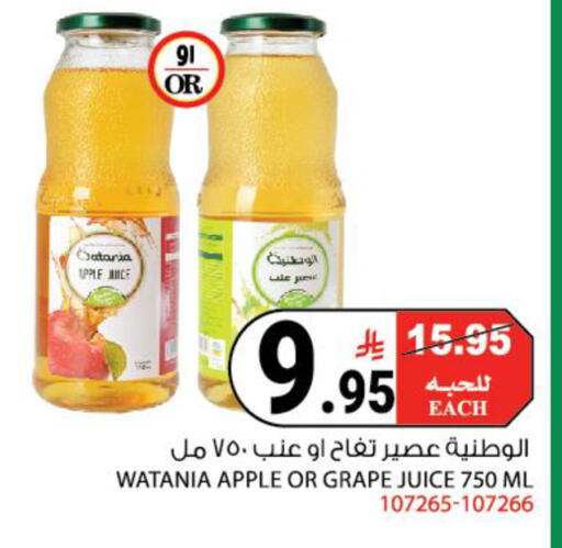 Apple available at House Care in KSA, Saudi Arabia, Saudi - Mecca