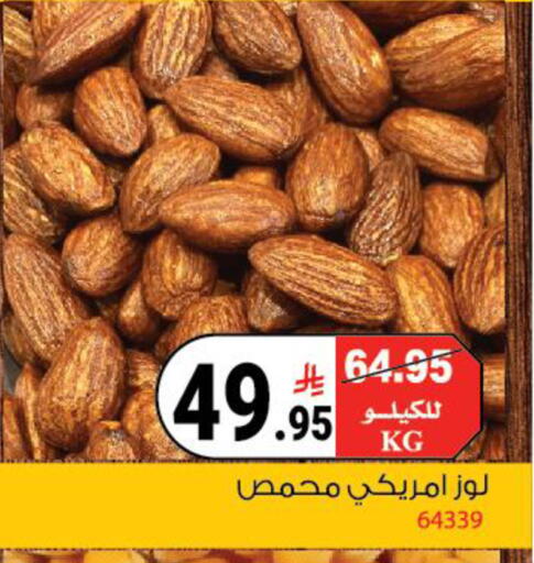 available at House Care in KSA, Saudi Arabia, Saudi - Mecca