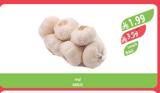 Garlic available at المزرعة in مملكة العربية السعودية, السعودية, سعودية - الخبر‎