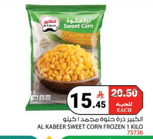 available at House Care in KSA, Saudi Arabia, Saudi - Mecca