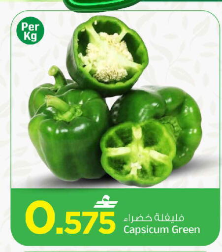 Capsicum available at MARK & SAVE in Oman - Muscat