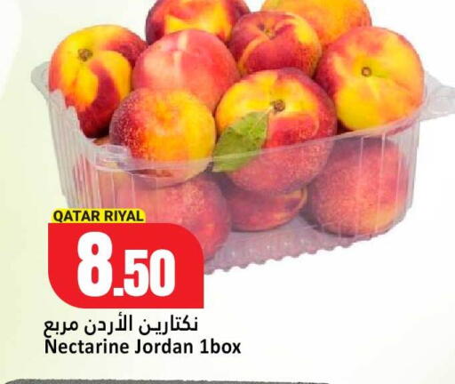 Blueberry BlueBerry from Qatar available at دانة هايبرماركت in قطر - الضعاين