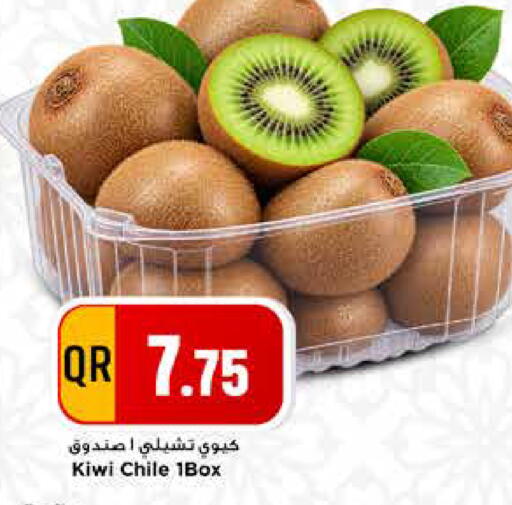 Kiwi from Chile available at مرزا هايبرماركت in قطر - الدوحة