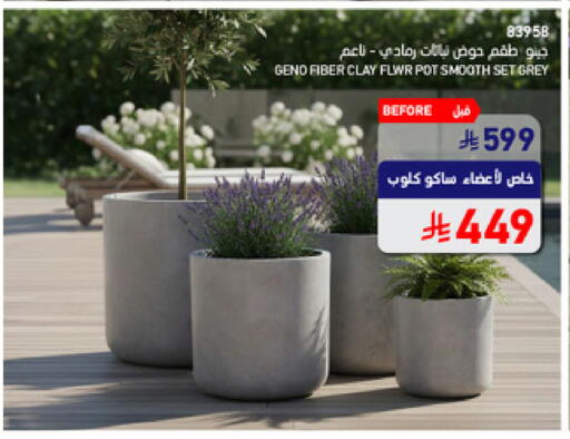 available at ساكو in مملكة العربية السعودية, السعودية, سعودية - تبوك