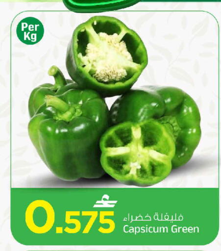 Capsicum available at MARK & SAVE in Oman - Muscat