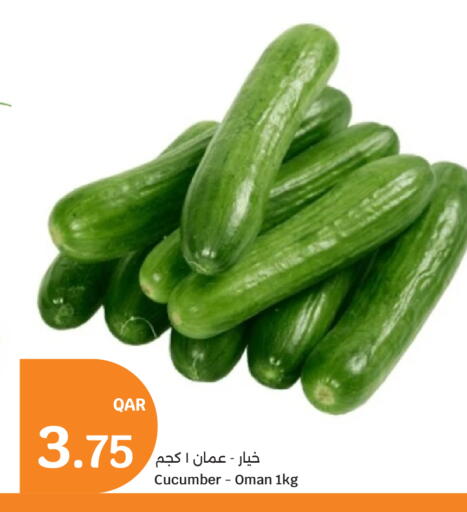 Cucumber from Oman available at City Hypermarket in Qatar - Al Shamal