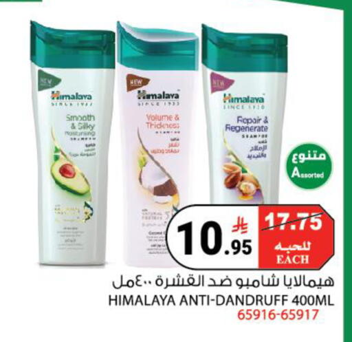 available at House Care in KSA, Saudi Arabia, Saudi - Mecca
