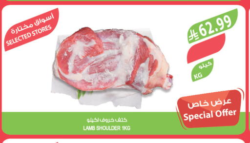 available at Farm  in KSA, Saudi Arabia, Saudi - Dammam