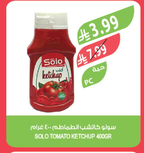 Tomato available at Farm  in KSA, Saudi Arabia, Saudi - Dammam