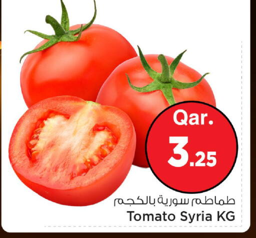 Tomato from Syria available at مارك & سيف in قطر - الخور