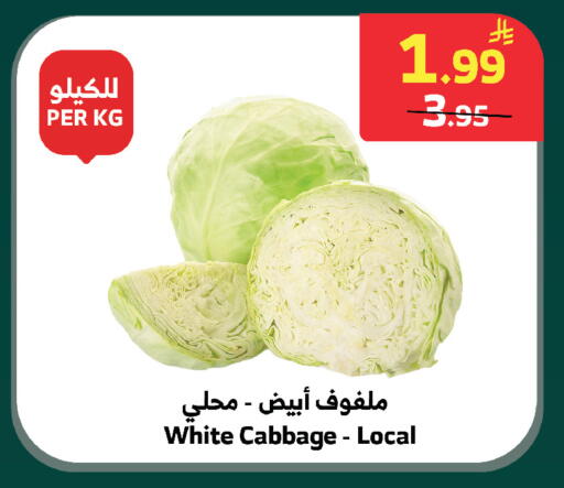 Cabbage available at الراية in مملكة العربية السعودية, السعودية, سعودية - بيشة