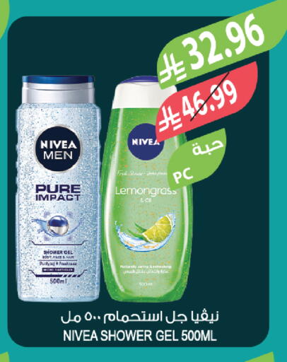 Lemongrass available at المزرعة in مملكة العربية السعودية, السعودية, سعودية - ينبع
