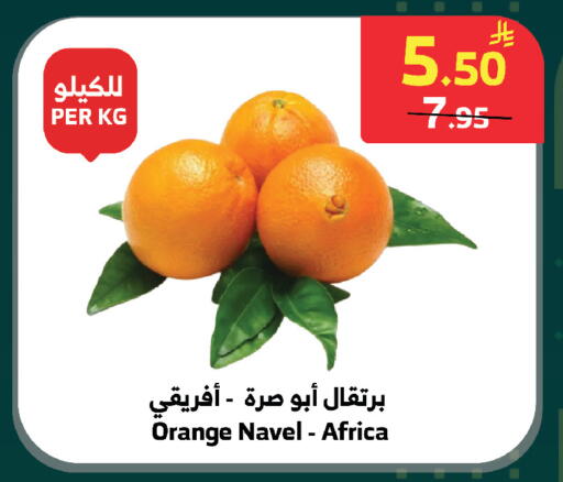 Orange available at الراية in مملكة العربية السعودية, السعودية, سعودية - الطائف