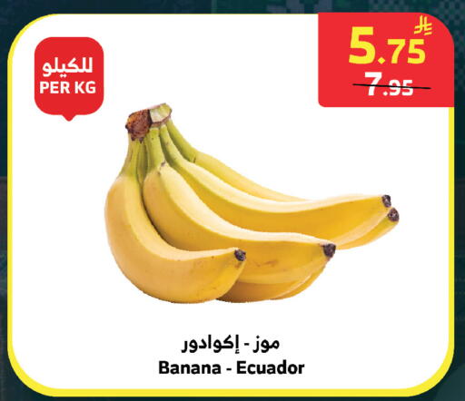 Banana from Ecuador available at الراية in مملكة العربية السعودية, السعودية, سعودية - الطائف