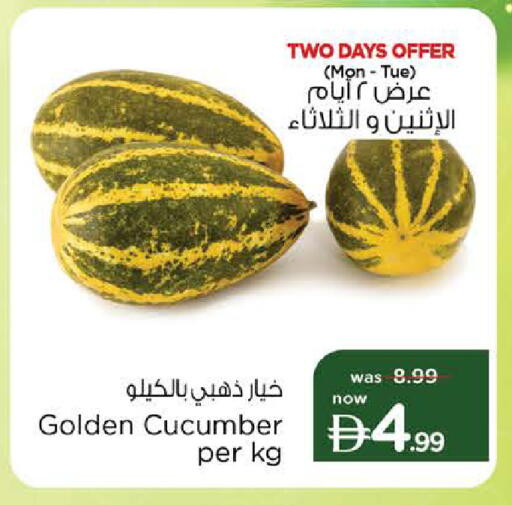 Cucumber available at Nesto Hypermarket in UAE - Sharjah / Ajman