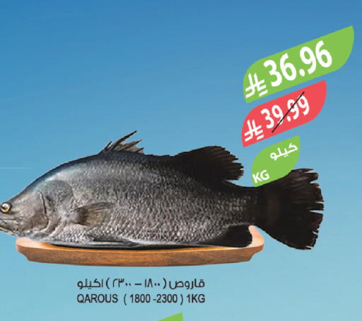 available at Farm  in KSA, Saudi Arabia, Saudi - Qatif
