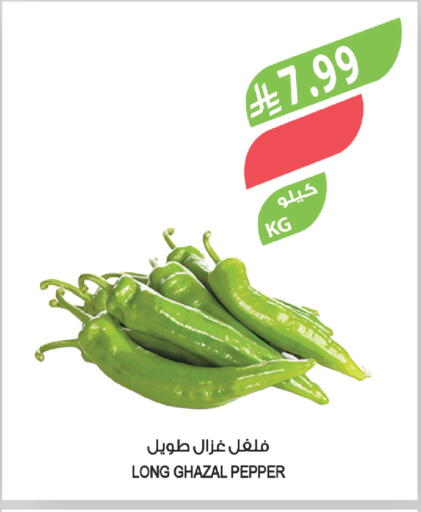 Pepper available at المزرعة in مملكة العربية السعودية, السعودية, سعودية - أبها