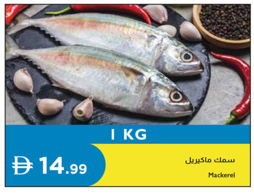 available at إسطنبول سوبرماركت in الإمارات العربية المتحدة , الامارات - رَأْس ٱلْخَيْمَة
