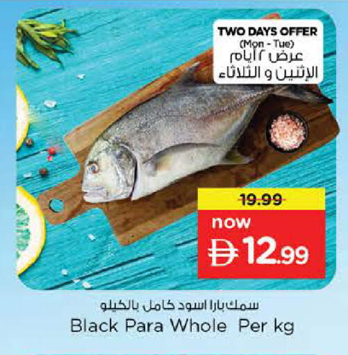 available at Nesto Hypermarket in UAE - Sharjah / Ajman