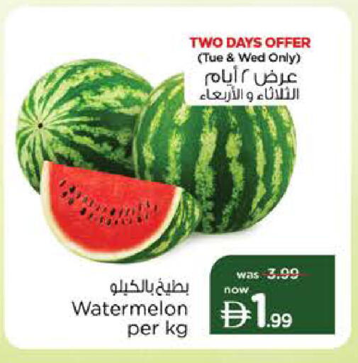 Watermelon available at نستو هايبرماركت in الإمارات العربية المتحدة , الامارات - ٱلْعَيْن‎