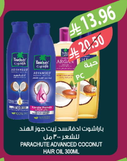 Coconut available at المزرعة in مملكة العربية السعودية, السعودية, سعودية - ينبع
