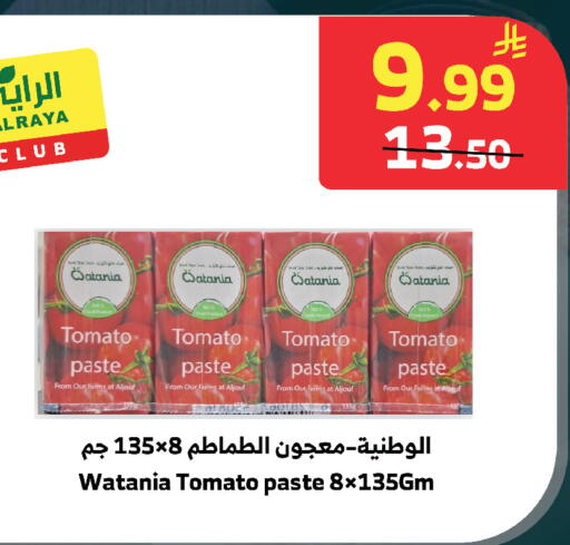 Tomato available at الراية in مملكة العربية السعودية, السعودية, سعودية - الطائف