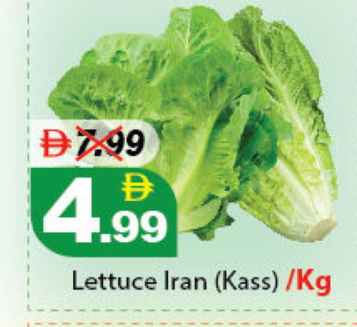 Lettuce from Iran available at DESERT FRESH MARKET  in UAE - Abu Dhabi