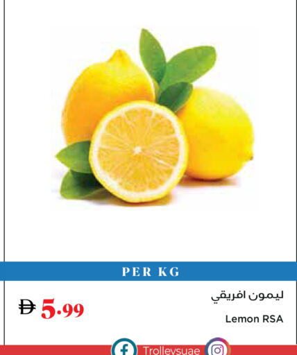 Lemon available at Trolleys Supermarket in UAE - Dubai