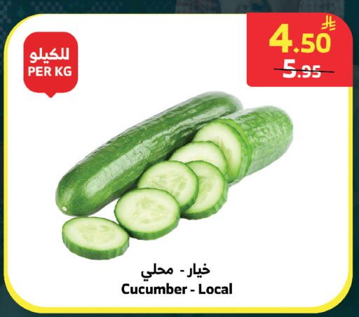 Cucumber available at الراية in مملكة العربية السعودية, السعودية, سعودية - الطائف