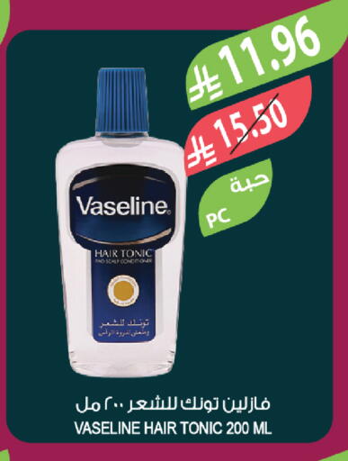 available at المزرعة in مملكة العربية السعودية, السعودية, سعودية - ينبع