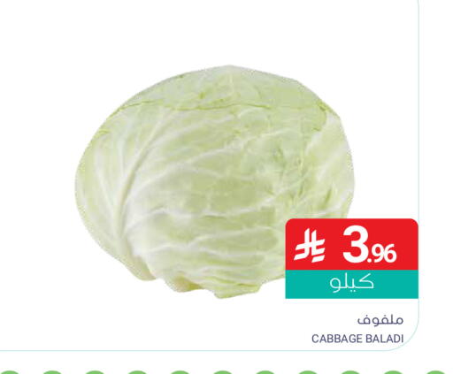 Cabbage available at Muntazah Markets in KSA, Saudi Arabia, Saudi - Dammam