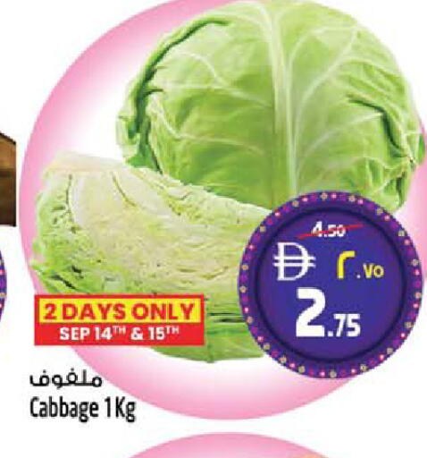 Cabbage available at سفاري هايبرماركت in الإمارات العربية المتحدة , الامارات - دبي