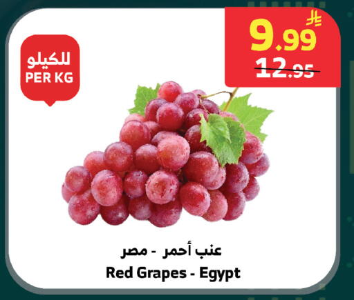 Grapes from Egypt available at الراية in مملكة العربية السعودية, السعودية, سعودية - بيشة