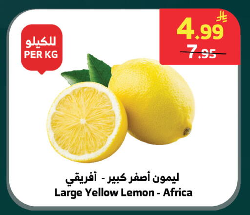 Lemon available at الراية in مملكة العربية السعودية, السعودية, سعودية - بيشة