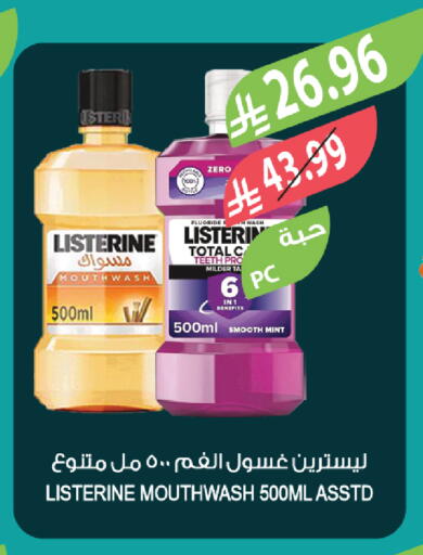 Mint available at المزرعة in مملكة العربية السعودية, السعودية, سعودية - جازان