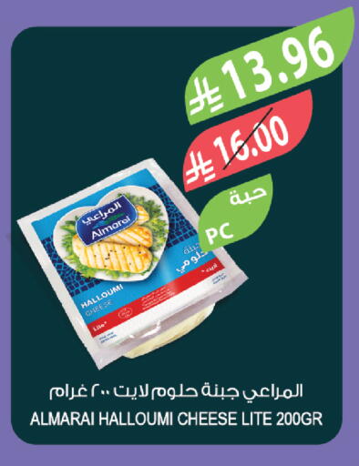 available at المزرعة in مملكة العربية السعودية, السعودية, سعودية - ينبع