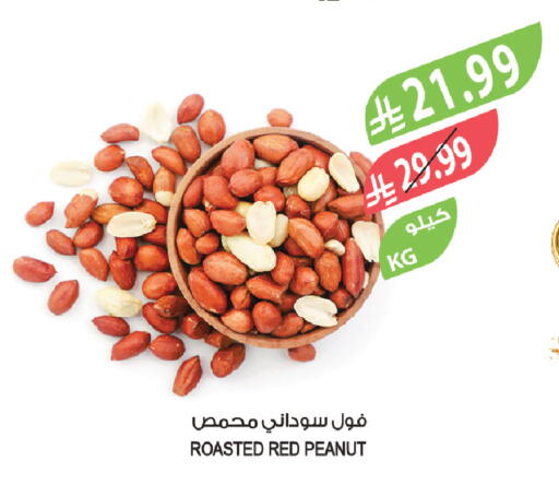 available at المزرعة in مملكة العربية السعودية, السعودية, سعودية - الخبر‎