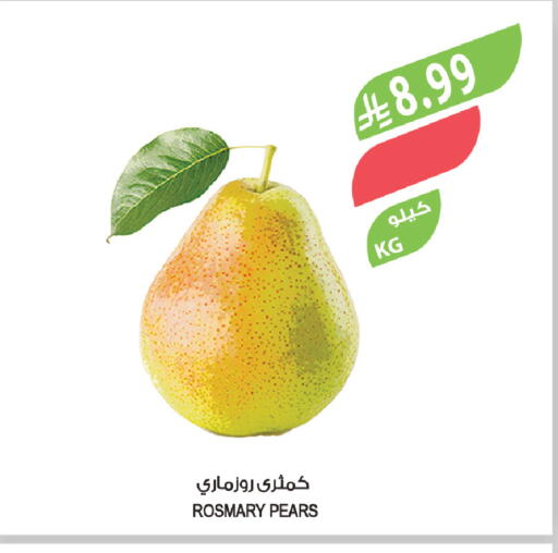 available at المزرعة in مملكة العربية السعودية, السعودية, سعودية - الجبيل‎