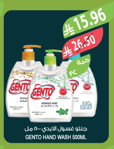 Mint available at المزرعة in مملكة العربية السعودية, السعودية, سعودية - ينبع