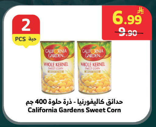 available at الراية in مملكة العربية السعودية, السعودية, سعودية - الطائف