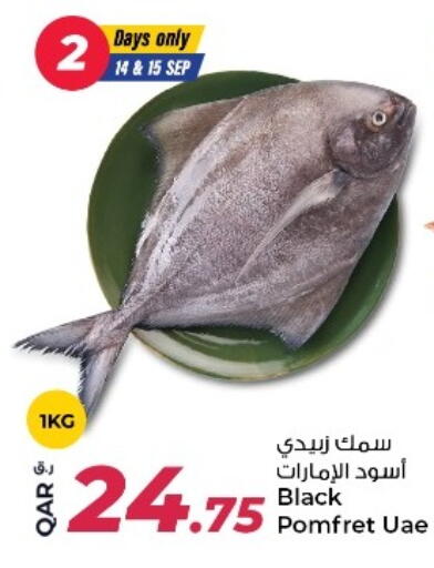 available at روابي هايبرماركت in قطر - الوكرة