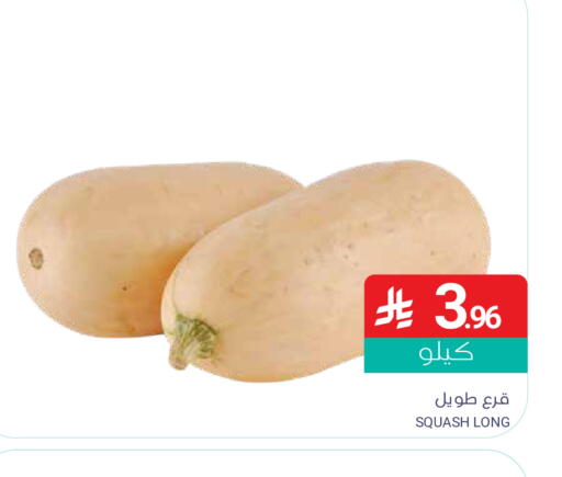 Squash available at Muntazah Markets in KSA, Saudi Arabia, Saudi - Dammam