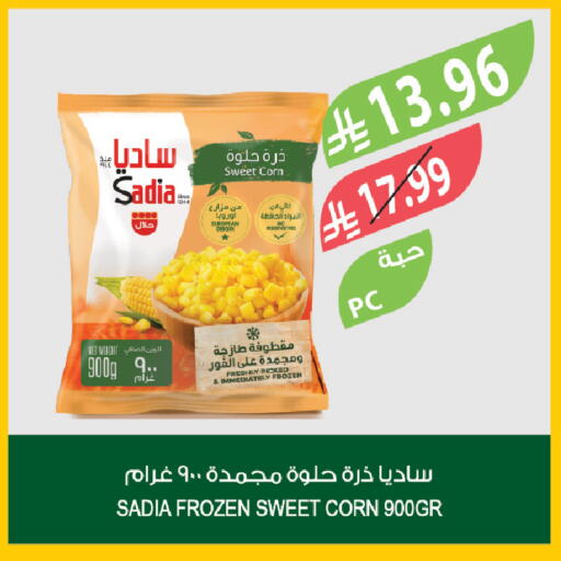 available at المزرعة in مملكة العربية السعودية, السعودية, سعودية - الخبر‎